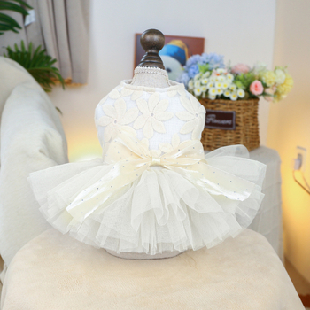 Lemmikloomade õõnes varrukateta pulmakleit koerariided karud Yorkshire Marzis kevad- ja suveõhuke seelik