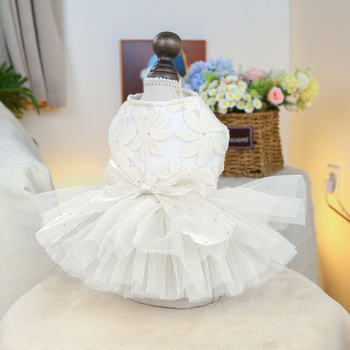 Lemmikloomade õõnes varrukateta pulmakleit koerariided karud Yorkshire Marzis kevad- ja suveõhuke seelik