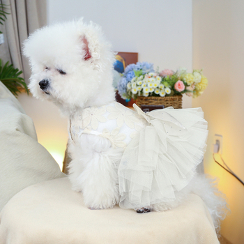 Lemmikloomade õõnes varrukateta pulmakleit koerariided karud Yorkshire Marzis kevad- ja suveõhuke seelik