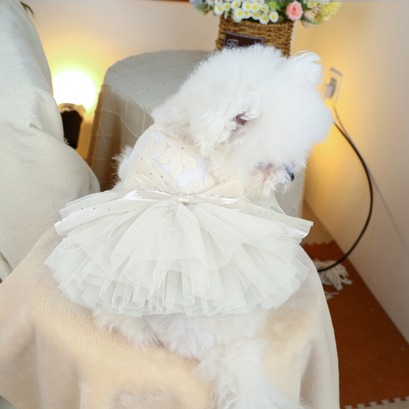 Lemmikloomade õõnes varrukateta pulmakleit koerariided karud Yorkshire Marzis kevad- ja suveõhuke seelik