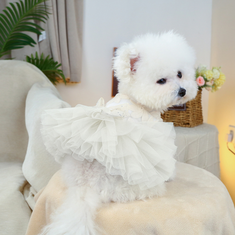 Lemmikloomade õõnes varrukateta pulmakleit koerariided karud Yorkshire Marzis kevad- ja suveõhuke seelik