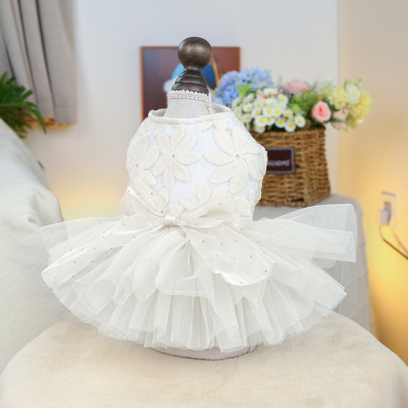 Lemmikloomade õõnes varrukateta pulmakleit koerariided karud Yorkshire Marzis kevad- ja suveõhuke seelik