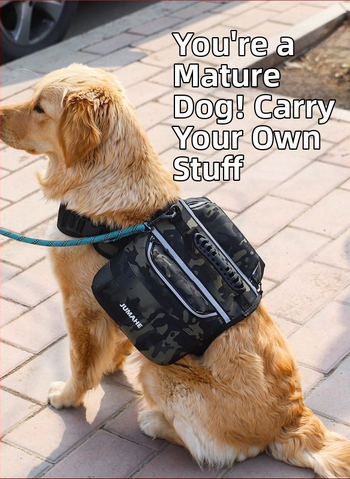 Uus populaarseim koerakott, isekantav seljakott, suurte ja keskmise suurusega koerte õuespordi reisikott, Amazoni õues kantav lemmikloom