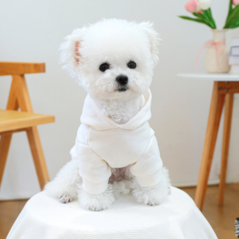 Άμεση προμήθεια από το εργοστάσιο/εξωτερικό εμπόριο σε απόθεμα ρούχα για κατοικίδια, σκύλους, γάτες, φθινοπωρινά και χειμωνιάτικα λευκά γιλέκα για μικρά προβλήματα