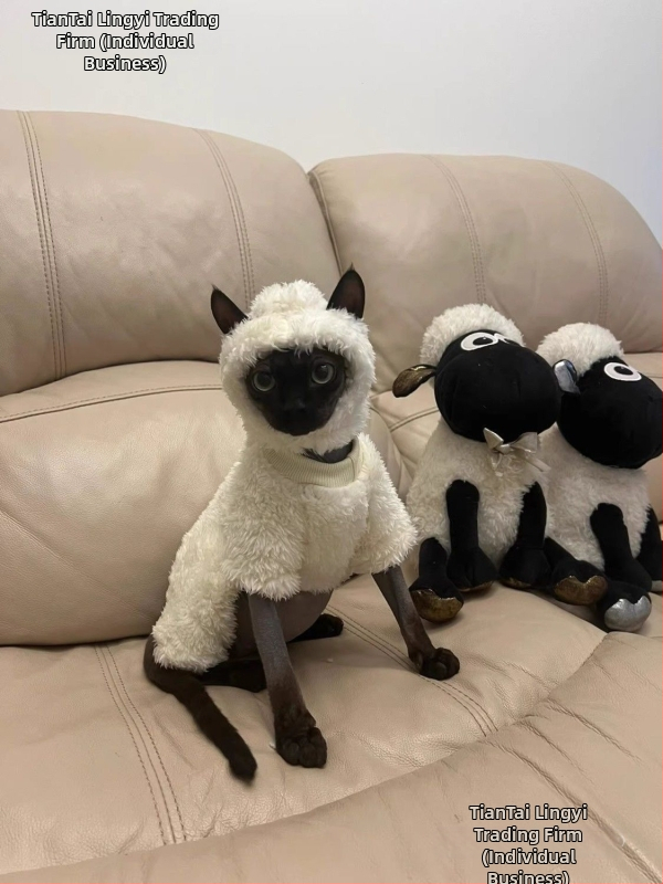 Kačių drabužiai rudeniui ir žiemai, ėriuko, Seano, mieli keturkojai, sfinkso, Devono, vilnos pamušalu, šilti, neperšalimo drabužiai.