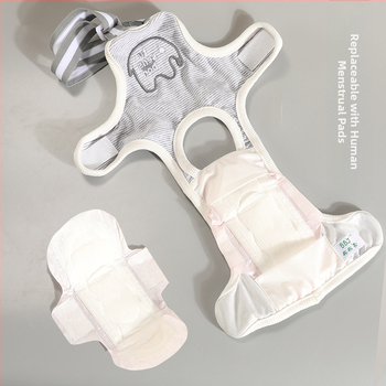 Lemmikloomade mähkmed Koerapüksid Teddy-püksid Pad Teddy-püksid Menstruatsioonipüksid Lemmikloomade tädi püksid Mähkmed