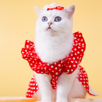 Νέα ρούχα για κατοικίδια σε διασυνοριακό επίπεδο, ασπρόμαυρα ρούχα για σκύλους με πουά, φόρεμα, λουλούδια χωρίς κεφάλι, ρούχα για σκύλους με γάτες