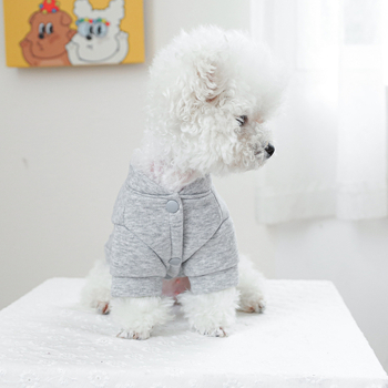 Άμεση προμήθεια από το εργοστάσιο/σε απόθεμα, εξαγωγές, ρούχα για κατοικίδια, σκύλους, ρούχα για γάτες, ρούχα, έλξη, γιλέκα με δύο πόδια για «trick-or-treat»