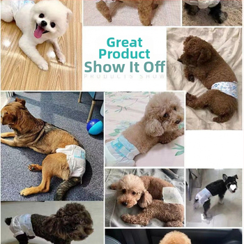 Αρσενικό σκυλί ειδικές πάνες σκύλου φυσιολογικό παντελόνι σκύλου ζώνη ευγένειας κατοικίδιων ζώων Teddy Corgi θηλυκό σκυλί θεία πετσέτα πάνες χονδρικής