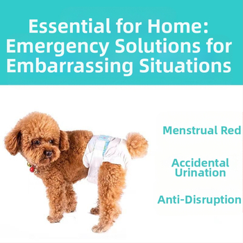 Αρσενικό σκυλί ειδικές πάνες σκύλου φυσιολογικό παντελόνι σκύλου ζώνη ευγένειας κατοικίδιων ζώων Teddy Corgi θηλυκό σκυλί θεία πετσέτα πάνες χονδρικής