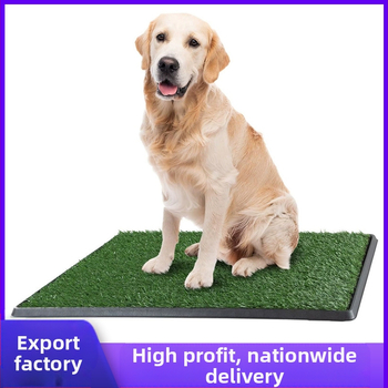 Piiriülene granuleeritud koeratualett, suur ja keskmine, väike, simulatsioonimuru, kolmekihiline koeratualett, fikseeritud punktiga treening, võltsmurutualett