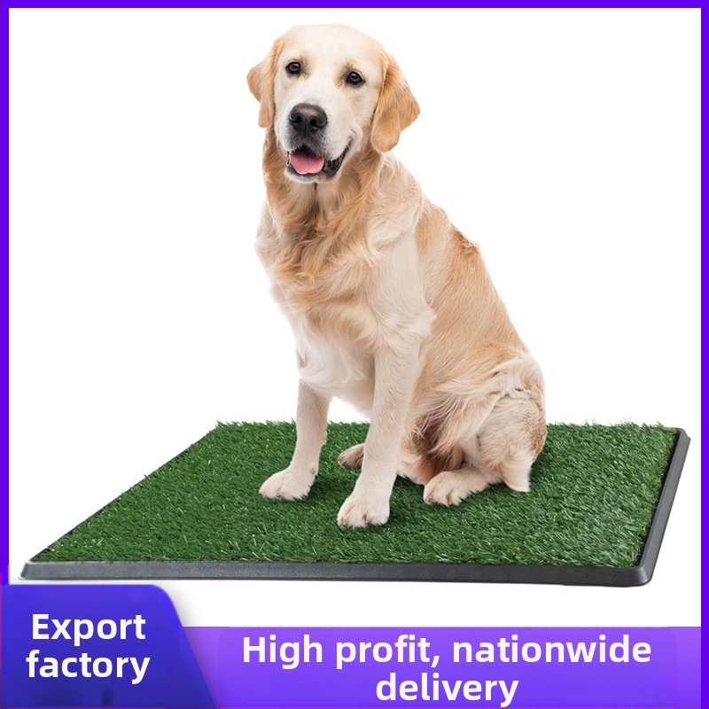 Piiriülene granuleeritud koeratualett, suur ja keskmine, väike, simulatsioonimuru, kolmekihiline koeratualett, fikseeritud punktiga treening, võltsmurutualett