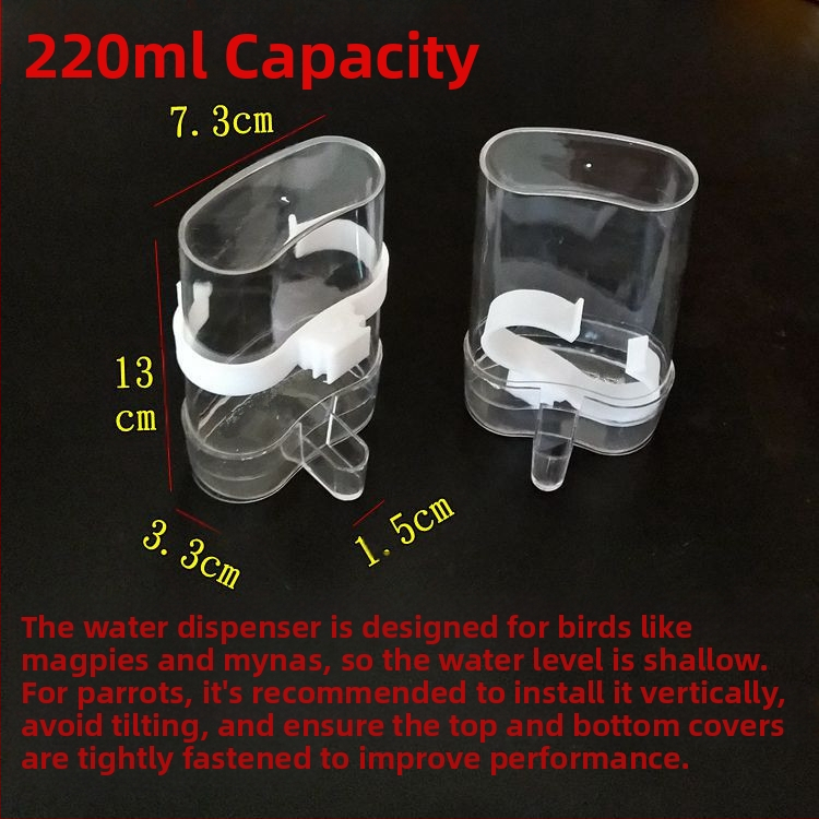 myna myna tigro odos papūgos paukštis su automatiniu vandens dozatoriumi vandens tiektuvas paukščių tiektuvas balandžių paukščių reikmenys skaidrūs