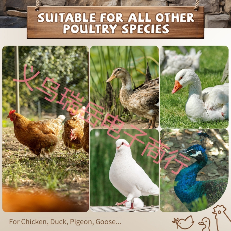 Ексклузивна, горещо продавана стълба за катерене за пилета, стойка за катерене за пилета, триножник за пилета, дървена стойка за пилета, играчка за пилета, консумативи за пилета