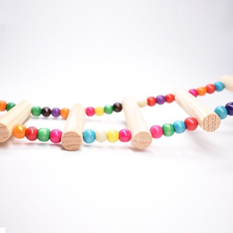 Papiga ljuljačka za ptice pribor za igračke za ptice pribor za igračke viseći most za ptice viseći prsten ljestve tvornica veleprodaja dostava