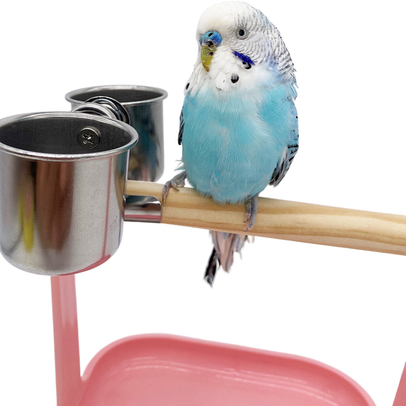 Станция за папагали, прът, настолен компютър, малка стойка, стойка за станция за птици, пръчка, стойка за птици, платформа за чашки за храна, станция за обучение, птичи принадлежности