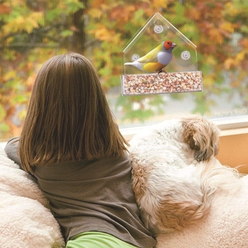 Ακρυλικό εξωτερικό μπαλκόνι με παράθυρο αναρρόφησης κρεμαστό κουτί τροφής πουλιών για πουλιά που δίνουν παπαγάλο Xuanfeng σπουργίτι πουλί πρόληψη πιτσιλιών τροφής