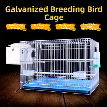 Naujas didelis, paryškintas, silpnas cinkuotas veisimo narvas, bijūnų papūgų paukščių narvas, „Xuanfeng“ vabalų balandžių didelis paukščių narvas