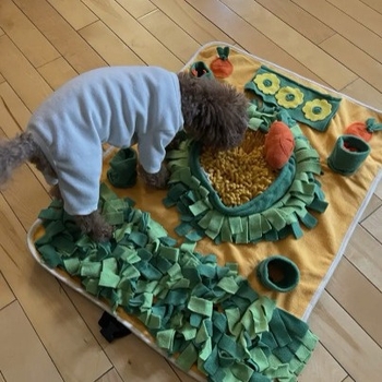 2025 m. „Amazon“ naujas šunų kvapo kilimėlis, naminių gyvūnėlių kilimėlis, dėlionės, erzinantis maitinimosi žaislas, katės ir šuns kvapo dresūros antklodė