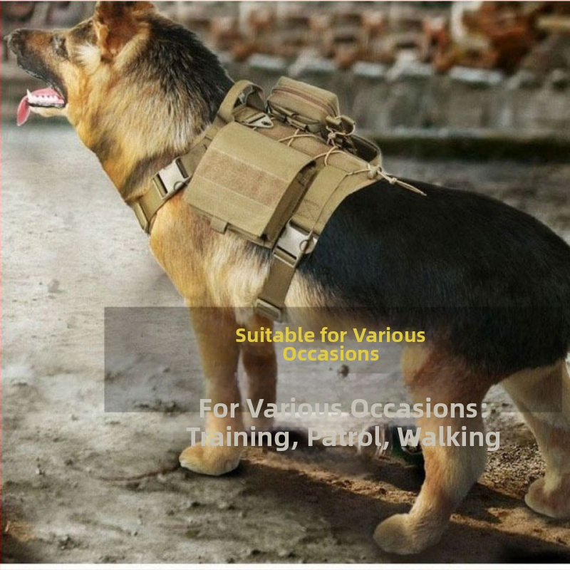 [1190 inimese kiidusõna] Veojõuköis, koerte taktikaline rinnarihmaga vesti kaelarihm hobuste ja koerte treenimiseks