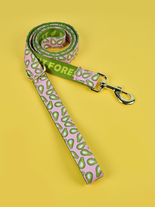 Трансгранична нова лятна сладка каишка за домашни любимци с двустранен печат, празничен подарък за сцепление за домашни любимци кучета и котки