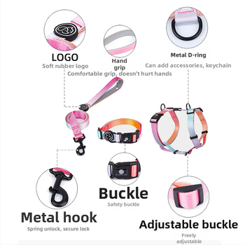 Everkingi koerarihm väikestele koertele, ketirakmed, gradientvärvi koerakaelarihm, koertele mõeldud jalutusnöör, hulgimüük