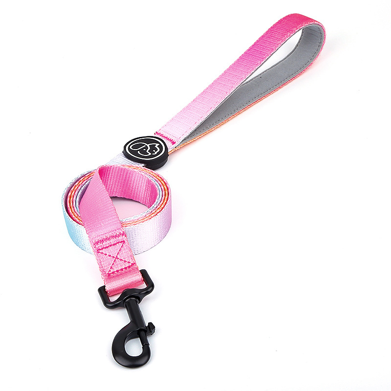 Everkingi koerarihm väikestele koertele, ketirakmed, gradientvärvi koerakaelarihm, koertele mõeldud jalutusnöör, hulgimüük