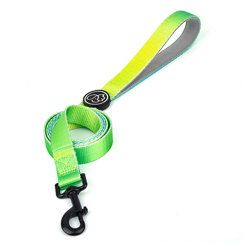 Everkingi koerarihm väikestele koertele, ketirakmed, gradientvärvi koerakaelarihm, koertele mõeldud jalutusnöör, hulgimüük