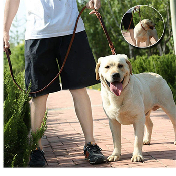 Γνήσιο δερμάτινο λουρί σκύλου από δέρμα με διπλή λαβή, λουρί σκύλου από δέρμα αγελάδας για κατοικίδια