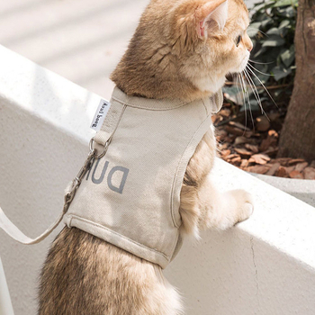 Σχοινί έλξης για γάτες Σχοινί για γάτες με αντιθραυστικό σχοινί Vipped Artifact, για βόλτες με γάτες