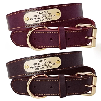 Kutyanyakörv, húzókötél, marhabőr, kutyamárka, gravírozás, veszteséggátló, arany-retriever, középső és nagytestű kutyáknak való nyakgyűrű