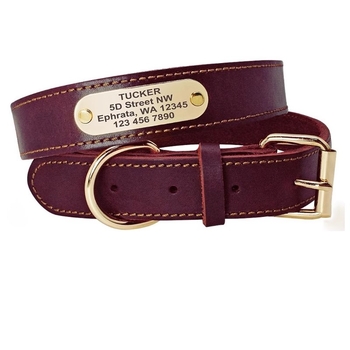 Kutyanyakörv, húzókötél, marhabőr, kutyamárka, gravírozás, veszteséggátló, arany-retriever, középső és nagytestű kutyáknak való nyakgyűrű