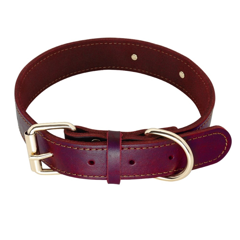 Kutyanyakörv, húzókötél, marhabőr, kutyamárka, gravírozás, veszteséggátló, arany-retriever, középső és nagytestű kutyáknak való nyakgyűrű