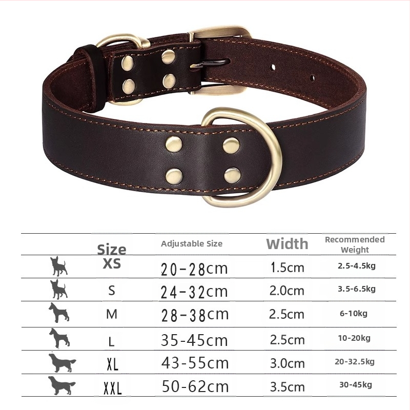 Kutyanyakörv, húzókötél, marhabőr, kutyamárka, gravírozás, veszteséggátló, arany-retriever, középső és nagytestű kutyáknak való nyakgyűrű