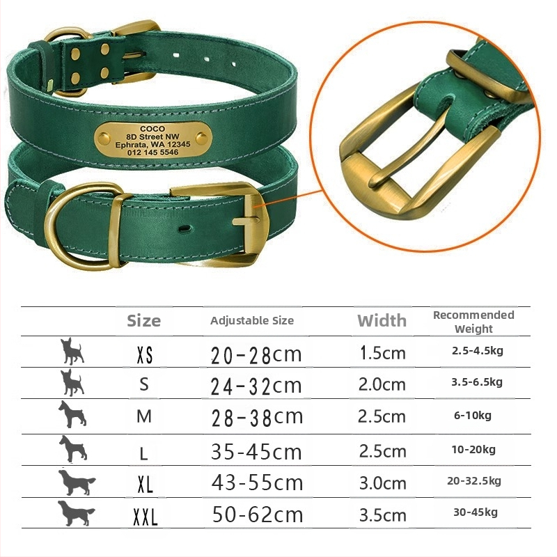 Kutyanyakörv, húzókötél, marhabőr, kutyamárka, gravírozás, veszteséggátló, arany-retriever, középső és nagytestű kutyáknak való nyakgyűrű