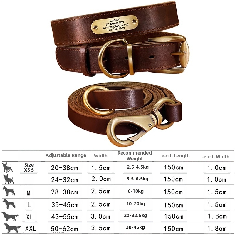 Kutyanyakörv, húzókötél, marhabőr, kutyamárka, gravírozás, veszteséggátló, arany-retriever, középső és nagytestű kutyáknak való nyakgyűrű