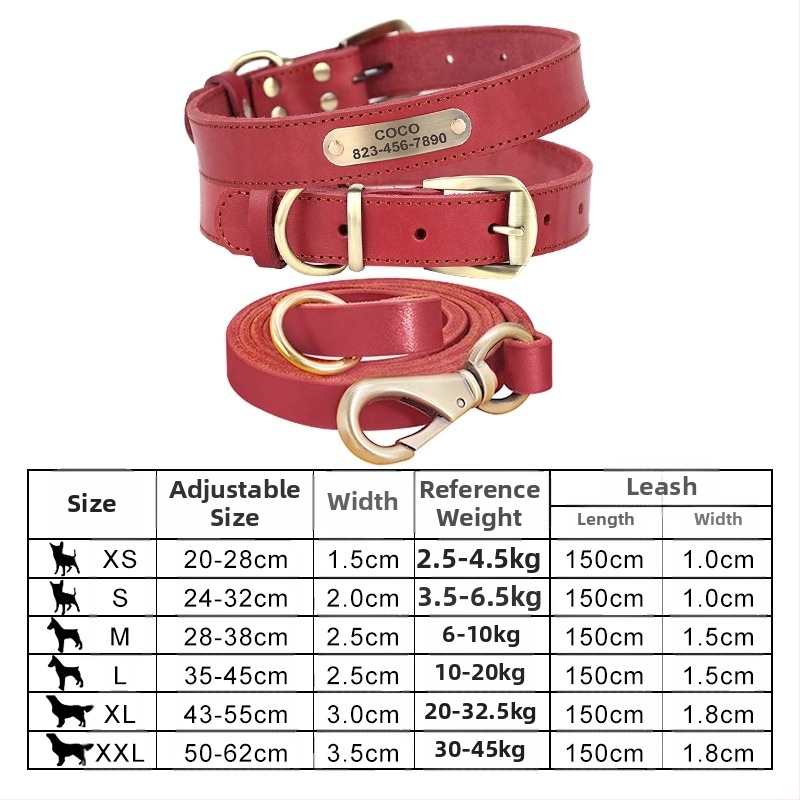Kutyanyakörv, húzókötél, marhabőr, kutyamárka, gravírozás, veszteséggátló, arany-retriever, középső és nagytestű kutyáknak való nyakgyűrű