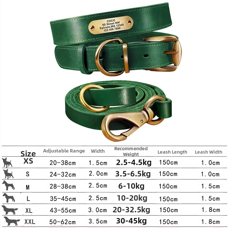 Kutyanyakörv, húzókötél, marhabőr, kutyamárka, gravírozás, veszteséggátló, arany-retriever, középső és nagytestű kutyáknak való nyakgyűrű