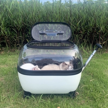 Lemmiklooma käruümbris, kassikott, väljaminev kaasaskantav kahe läbipaistva koerakotiga pagasikäru, kassi seljakott, hingav