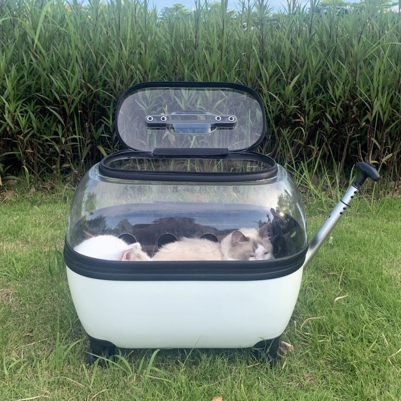 Lemmiklooma käruümbris, kassikott, väljaminev kaasaskantav kahe läbipaistva koerakotiga pagasikäru, kassi seljakott, hingav