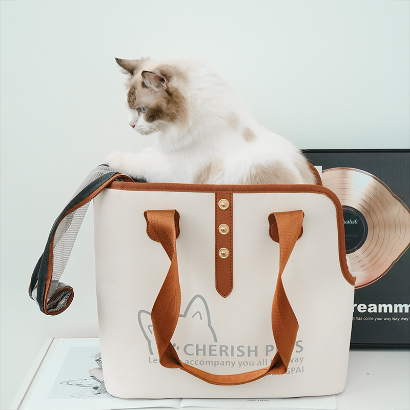 Uus piiriülene lemmikloomade kaasaskantav reisikott, suur ruum, ööpeegeldav hingav nailonist kassi- ja koeratarbed