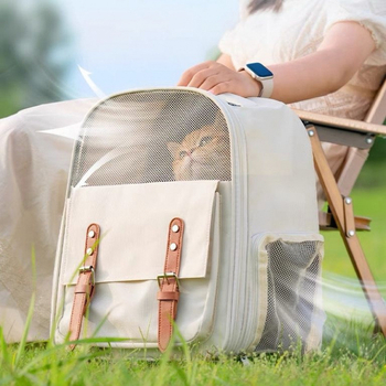 Kassi seljakott suure mahutavusega kokkupandav väljaminekuks armas internetikuulus kassi multifunktsionaalne hingav kassikott kaasaskantav õues kasutamiseks