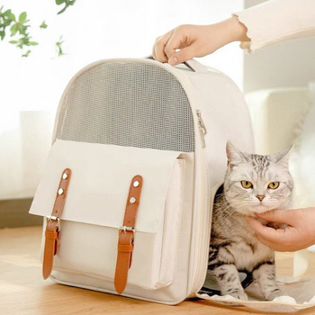 Kassi seljakott suure mahutavusega kokkupandav väljaminekuks armas internetikuulus kassi multifunktsionaalne hingav kassikott kaasaskantav õues kasutamiseks