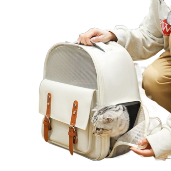 Kassi seljakott suure mahutavusega kokkupandav väljaminekuks armas internetikuulus kassi multifunktsionaalne hingav kassikott kaasaskantav õues kasutamiseks