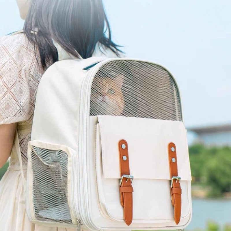 Kassi seljakott suure mahutavusega kokkupandav väljaminekuks armas internetikuulus kassi multifunktsionaalne hingav kassikott kaasaskantav õues kasutamiseks