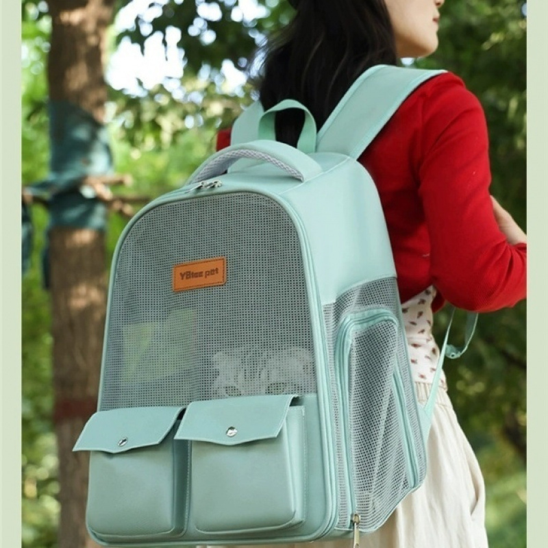 Kassi seljakott suure mahutavusega kokkupandav väljaminekuks armas internetikuulus kassi multifunktsionaalne hingav kassikott kaasaskantav õues kasutamiseks