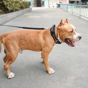 Kisállat nyakörv Kutyatermékek Kutya nyakörv nyakörv Taktikai kutyanyakörv Nejlon kutyanyakörv Nagy és közepes kutyapóráz