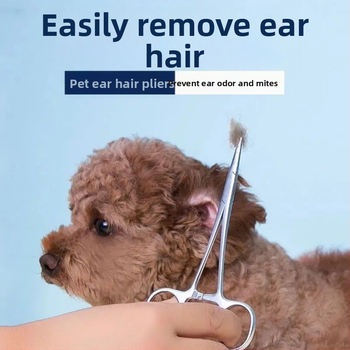 Πούδρα για αυτιά σκύλου, Τρίχες αυτιών, Πένσα για σκύλους, Πένσα για γάτες, Εργαλείο, Πένσα αιμόστασης με ίσια κεφαλή, Πένσα για τρίχες αυτιών, Καθαριστικό κατοικίδιων, Αρκουδάκι