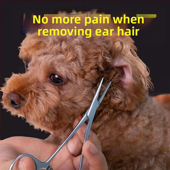 Πούδρα για αυτιά σκύλου, Τρίχες αυτιών, Πένσα για σκύλους, Πένσα για γάτες, Εργαλείο, Πένσα αιμόστασης με ίσια κεφαλή, Πένσα για τρίχες αυτιών, Καθαριστικό κατοικίδιων, Αρκουδάκι