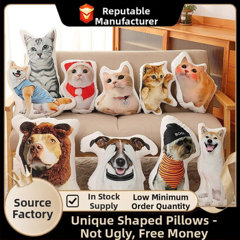 Tulnuka isetegemise Buddha väike kaaslane 3D-padi ilma ääriseta prinditav foto ilma valge servata naljakas liivaskulptuuri nukutehase kohandamine